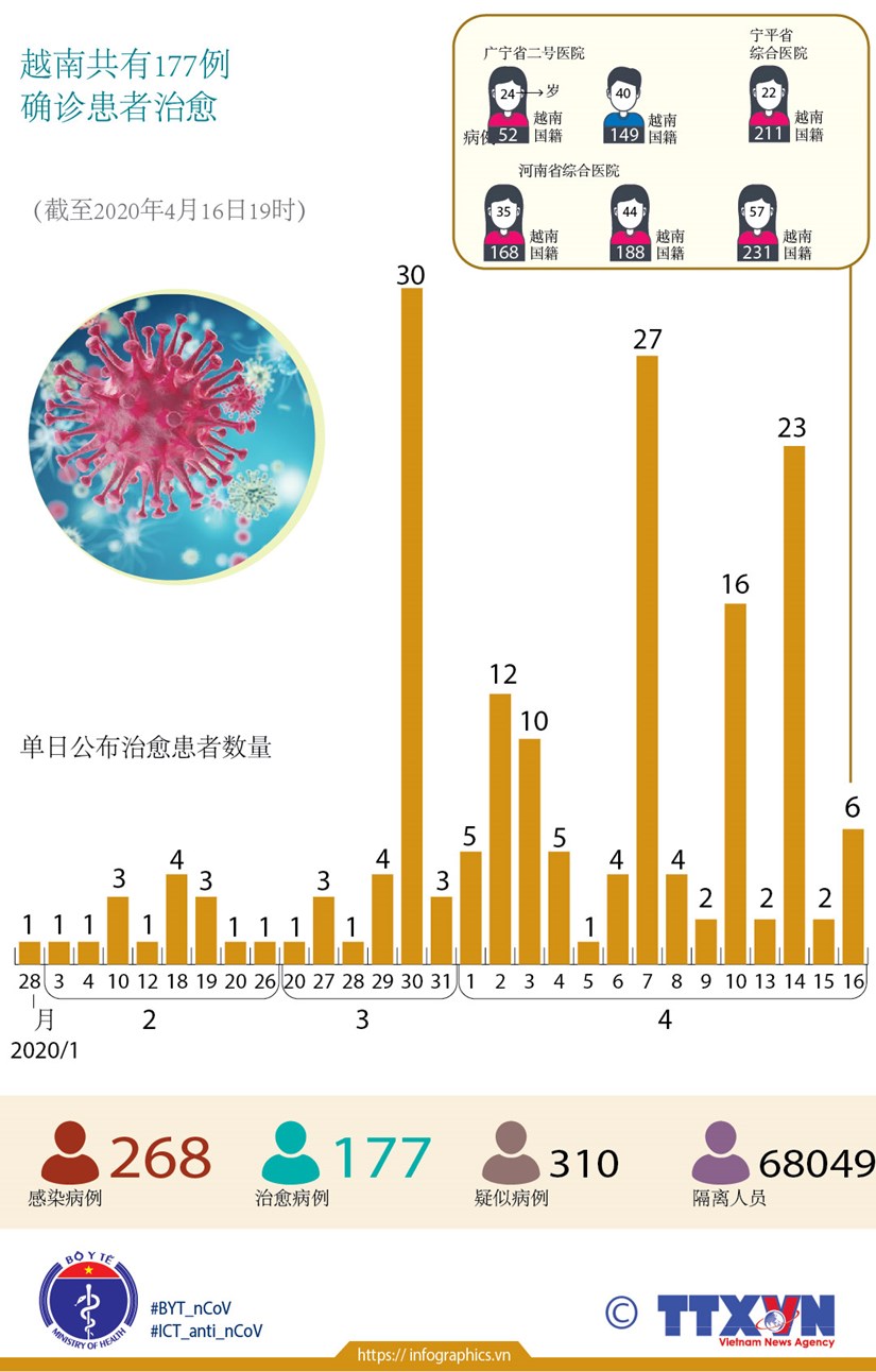 图表新闻：越南共有177例确诊患者治愈 hinh anh 1