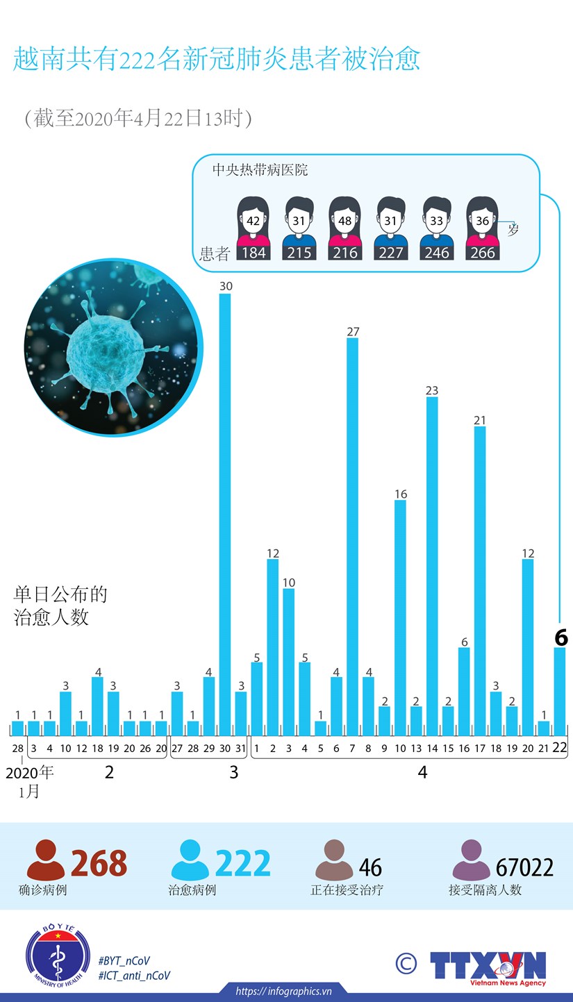 图表新闻：越南共有222名新冠肺炎患者被治愈 hinh anh 1