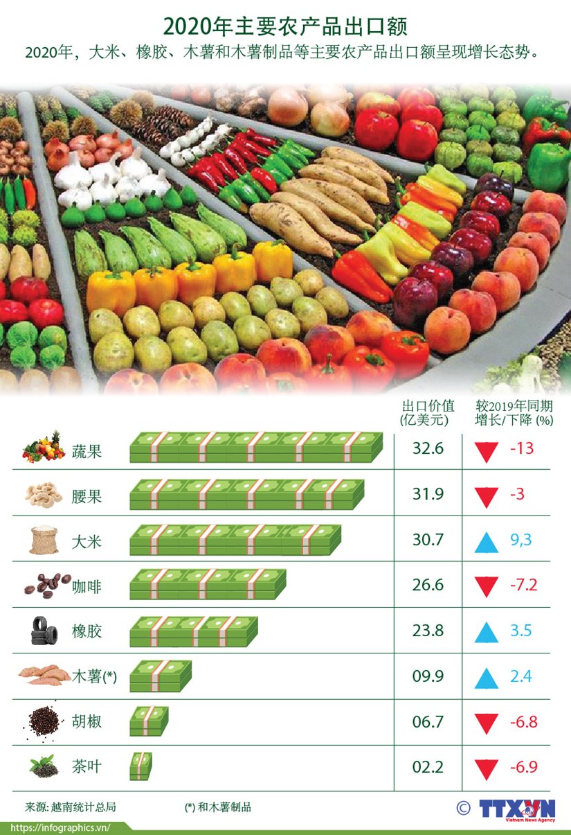 图表新闻：2020年越南主要农产品出口额呈现增长态势 hinh anh 1