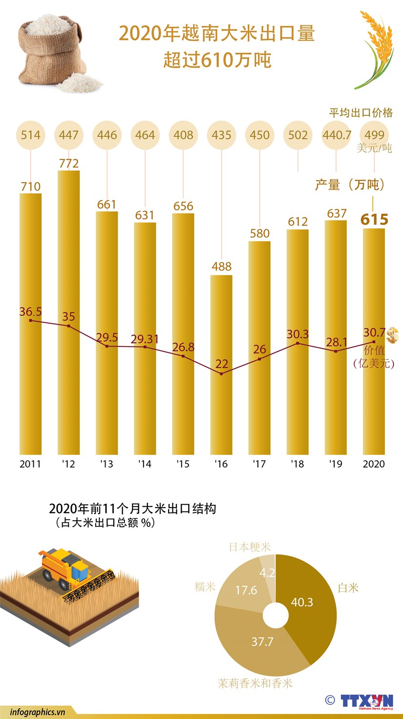 图表新闻：2020年越南大米出口量超过610万吨 hinh anh 1