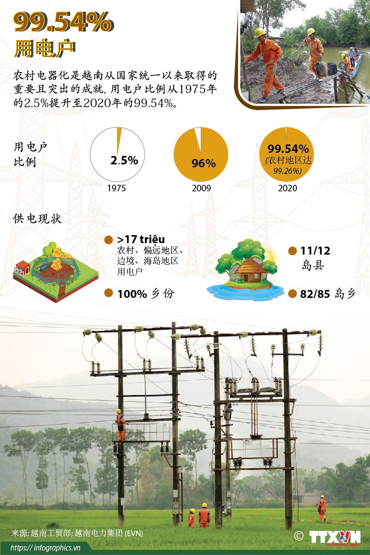 图表新闻：2020年越南用电户比例达99.54% hinh anh 1