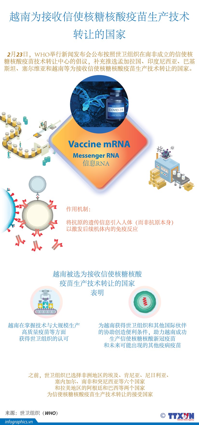 图表新闻：越南为接收信使核糖核酸疫苗生产技术转让的国家 hinh anh 1