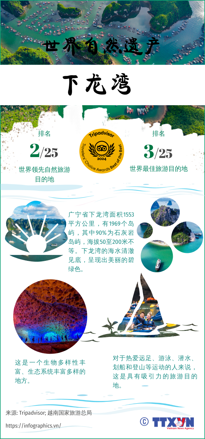图表新闻：世界自然遗产下龙湾——世界领先自然旅游目的地之一 hinh anh 1