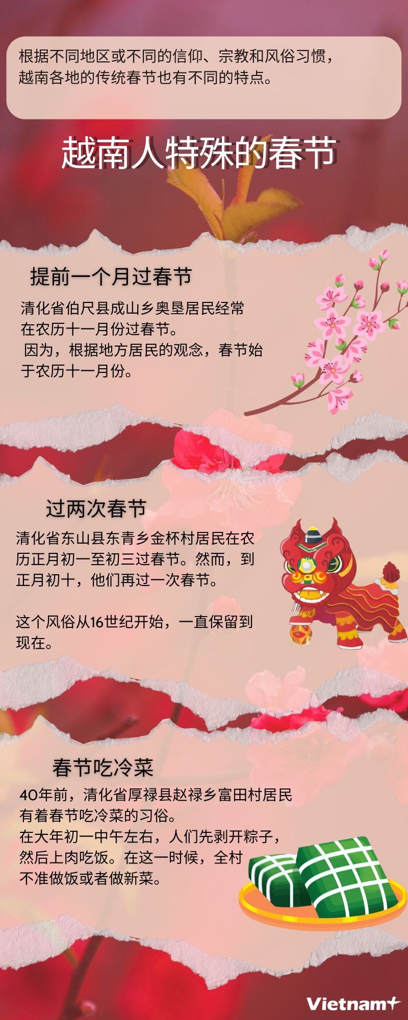 图表新闻：越南人特殊的传统节日——春节 hinh anh 1