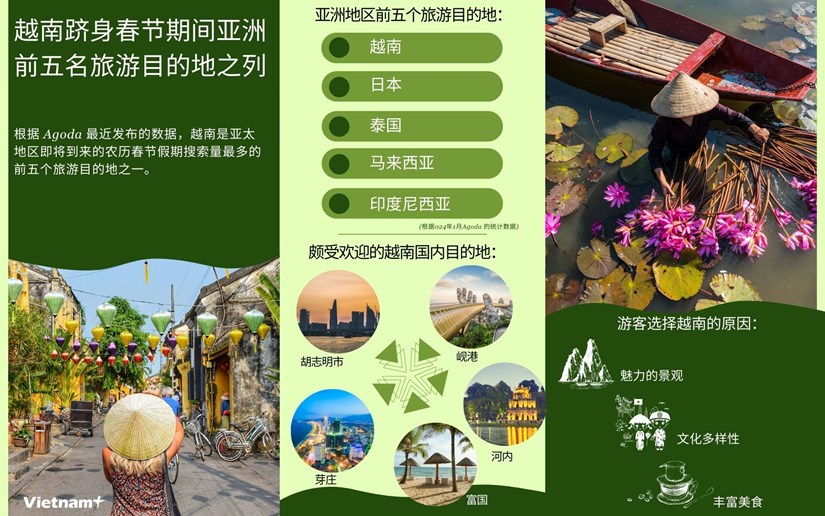图表新闻：越南跻身春节期间亚洲前五名旅游目的地之列 hinh anh 1