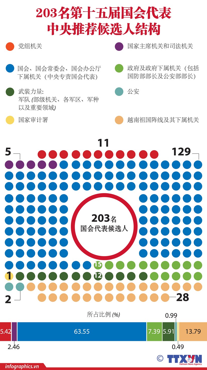 图表新闻：203名第十五届国会代表中央推荐候选人结构 hinh anh 1