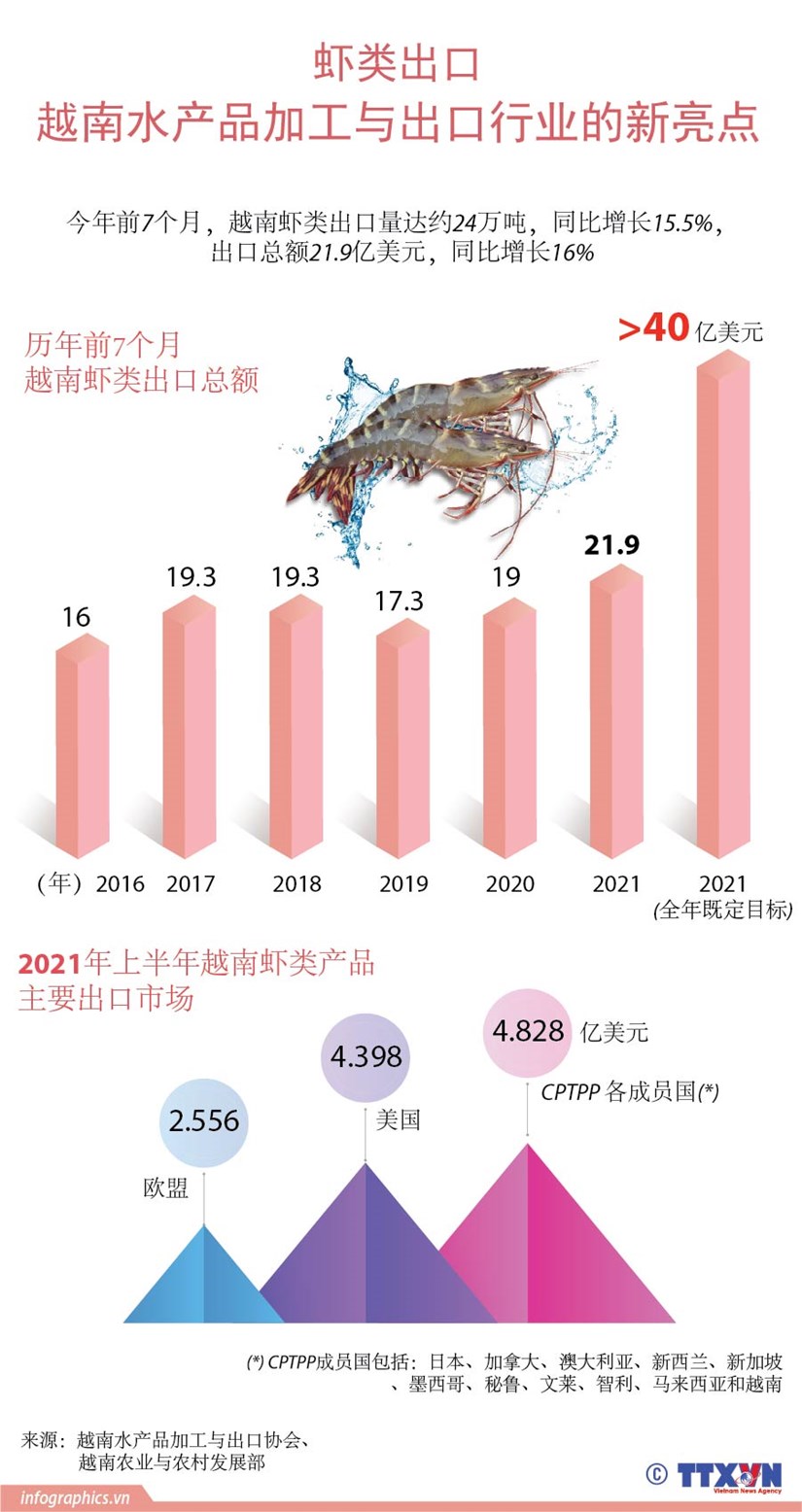 图表新闻：虾类出口——越南水产品加工与出口行业的新亮点 hinh anh 1
