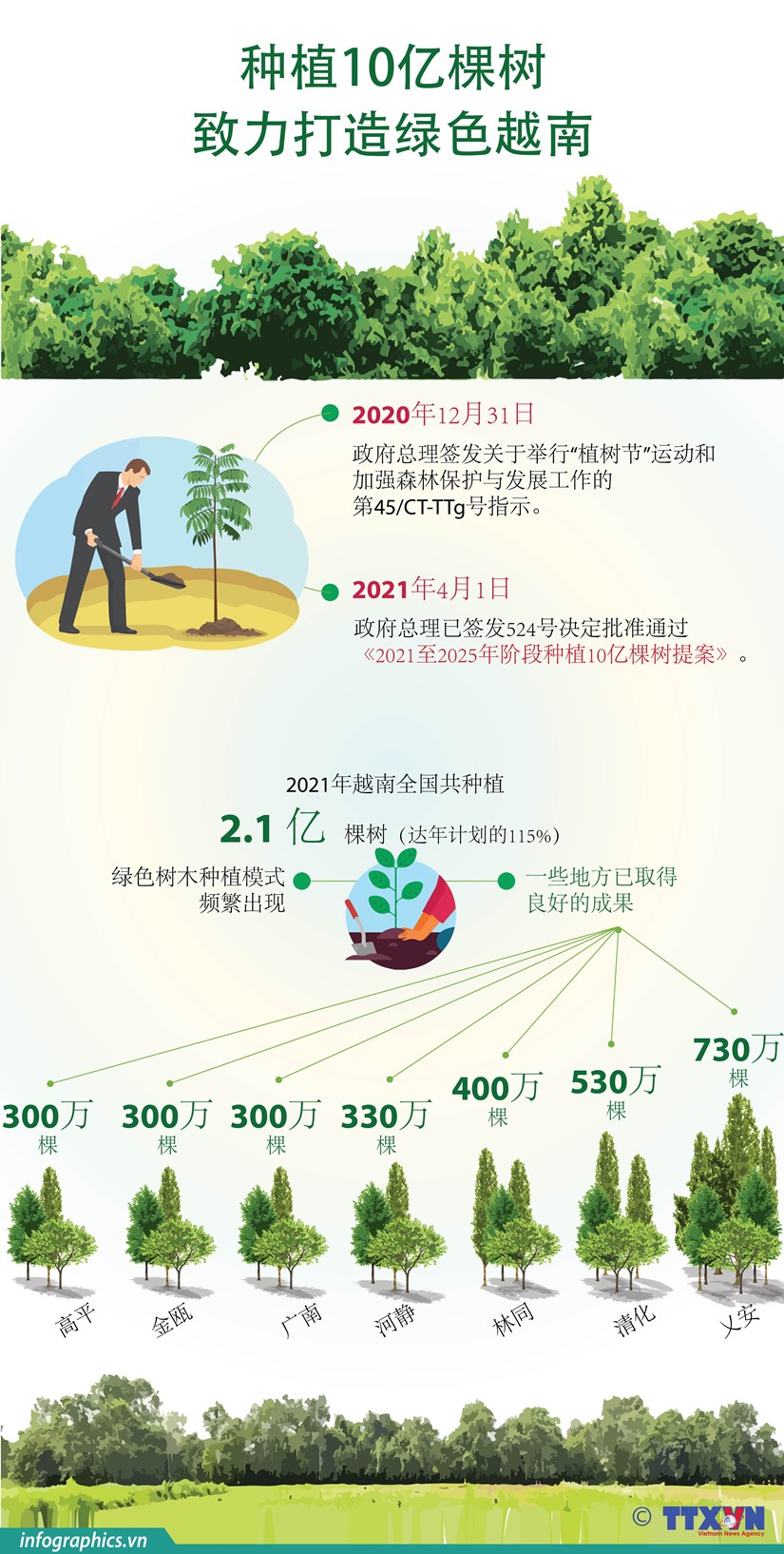 图表新闻：种植10亿棵树 致力打造绿色越南 hinh anh 1