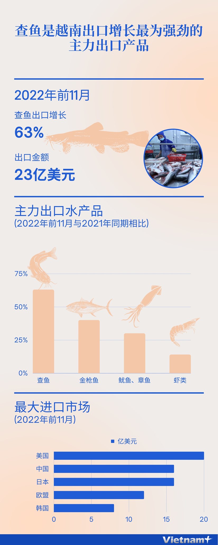 图表新闻：查鱼是越南出口增长最为强劲的主力出口产品 hinh anh 1