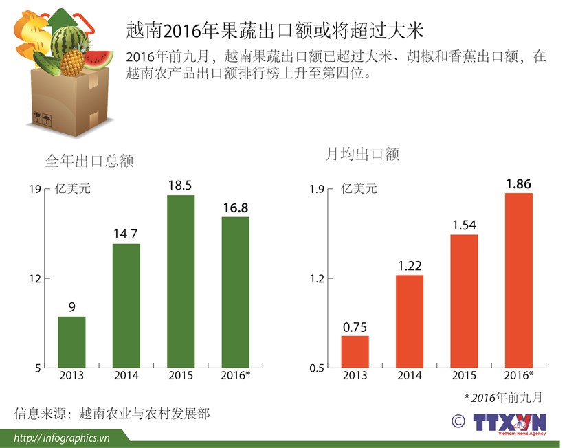 越南2016年果蔬出口额或将超过大米 hinh anh 1
