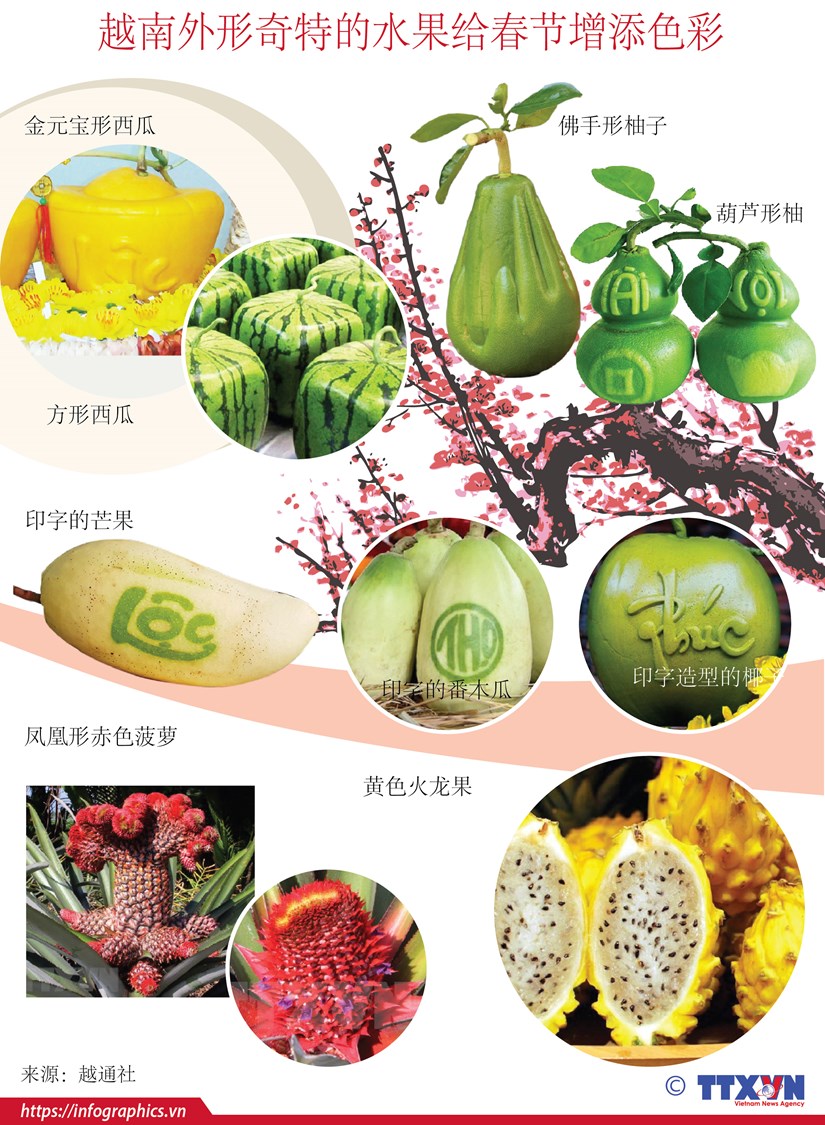 图表新闻：越南外形奇特的水果给春节增添色彩 hinh anh 1