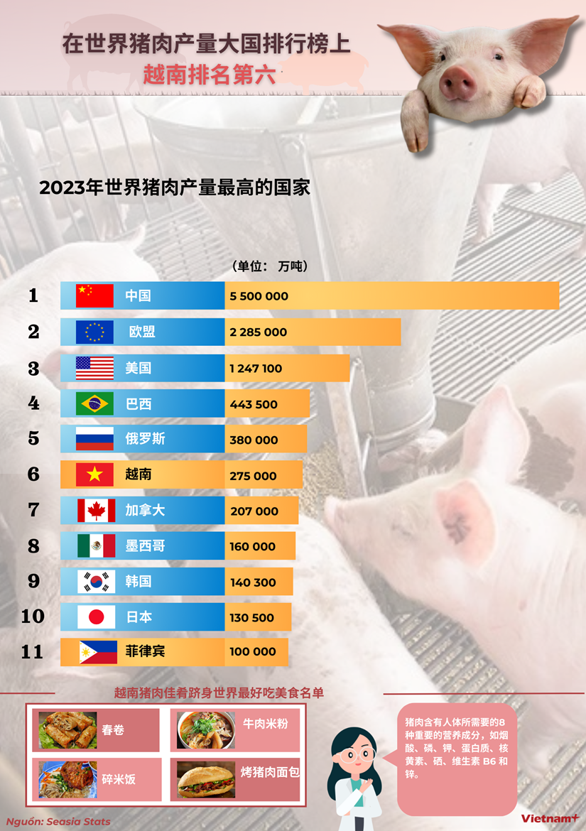 图表新闻：越南是世界第六大猪肉生产大国 hinh anh 1