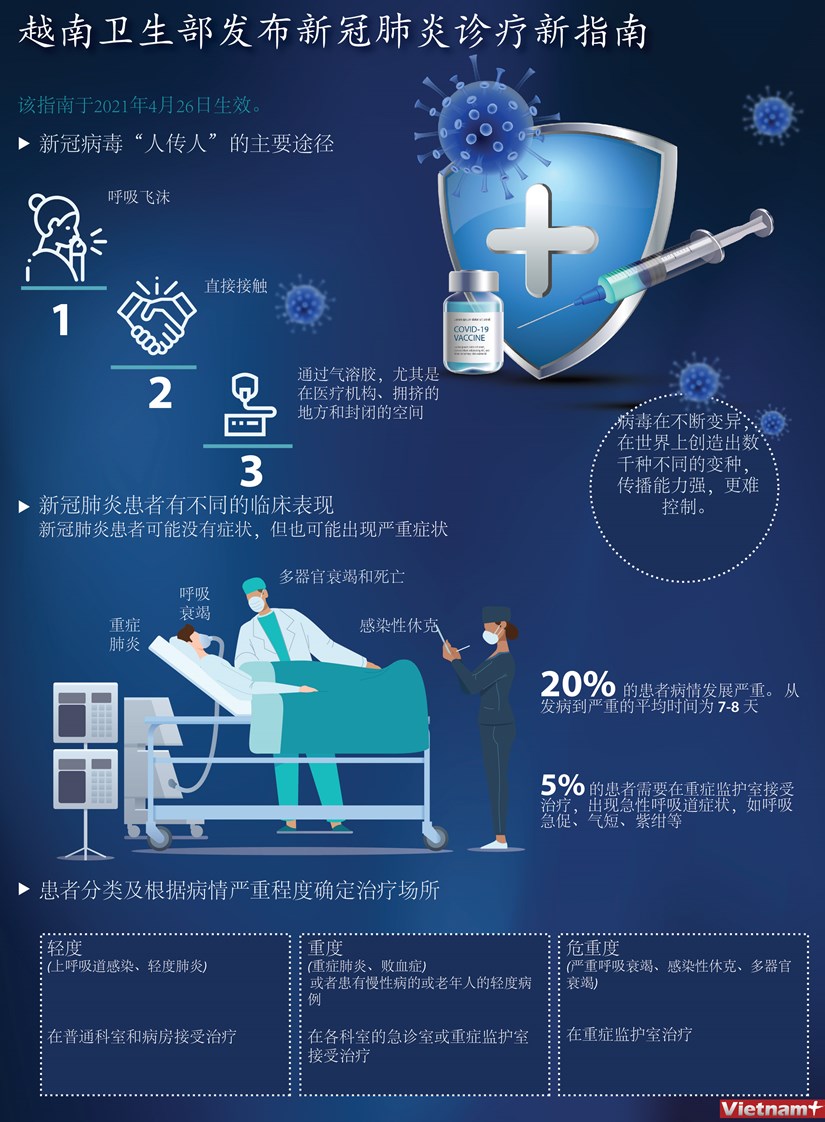 图表新闻：越南卫生部发布新冠肺炎诊疗最新指南 hinh anh 1