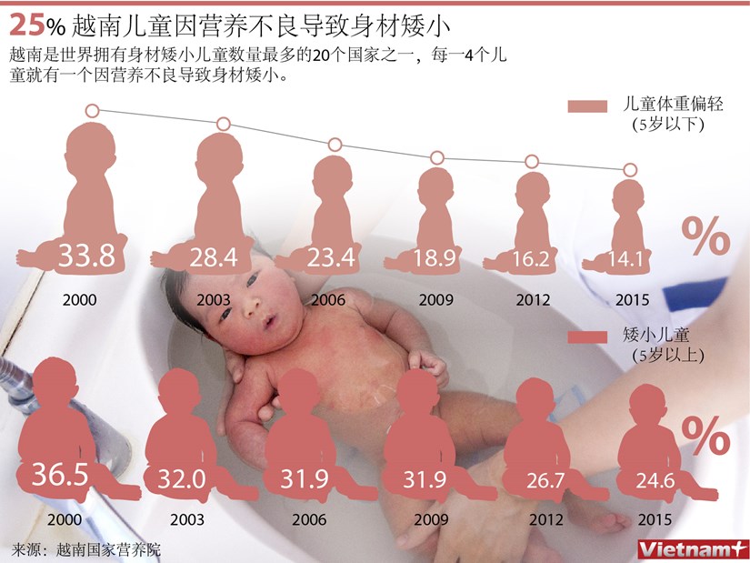 25%越南儿童因营养不良导致身材矮小 hinh anh 1