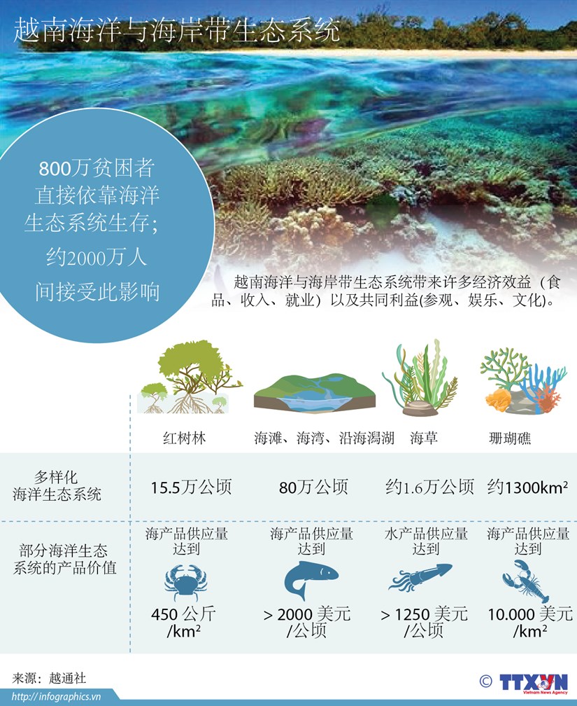 越南海洋与海岸带生态系统 hinh anh 1