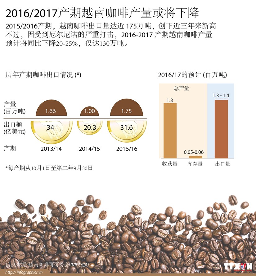 2016/17产期越南咖啡产量或将下降 hinh anh 1