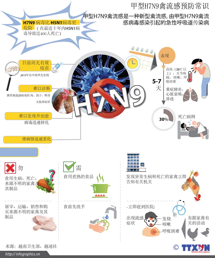 甲型H7N9禽流感预防常识 hinh anh 1
