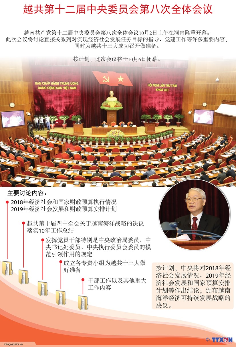 图表新闻：越共第十二届中央委员会第八次全体会议 hinh anh 1