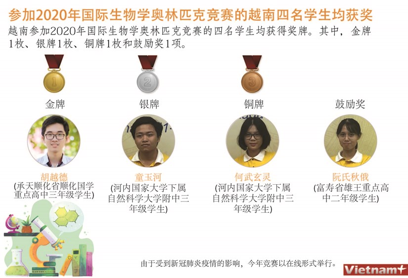 图表新闻：参加2020年国际生物学奥林匹克竞赛的越南四名学生均获奖 hinh anh 1