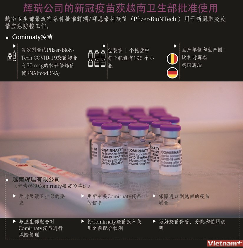 图表新闻：辉瑞公司的新冠疫苗获越南卫生部批准使用 hinh anh 1