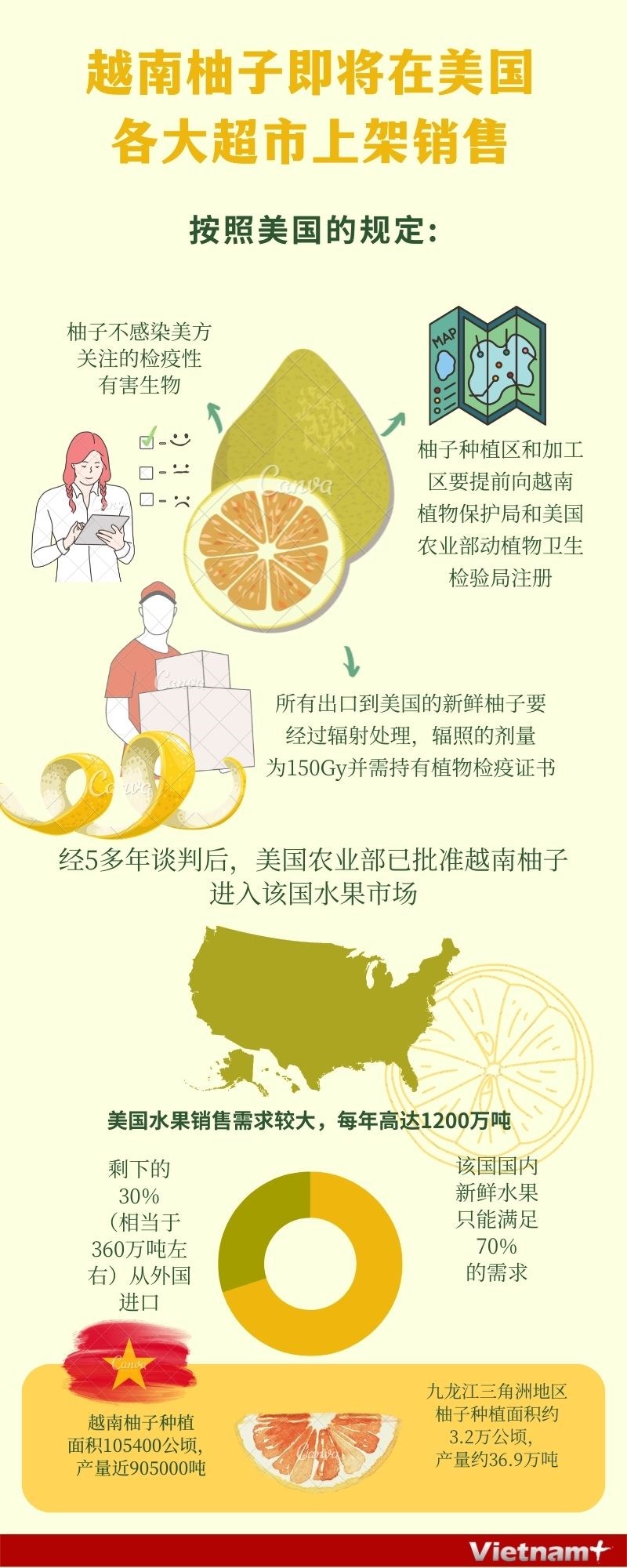 图表新闻：越南柚子即将在美国各大超市上架销售 hinh anh 1