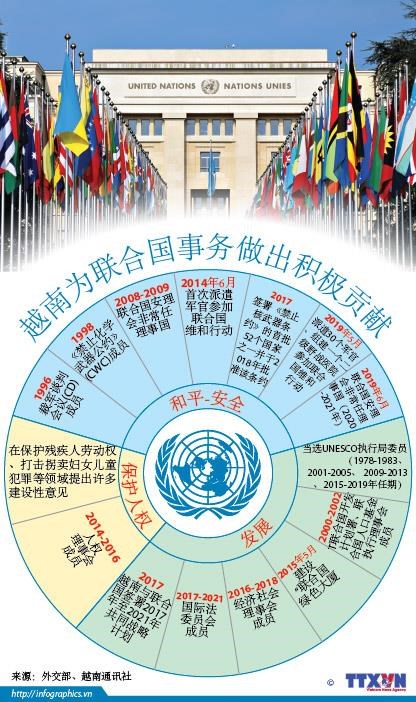 图表新闻：越南为联合国事务做出积极贡献 hinh anh 1