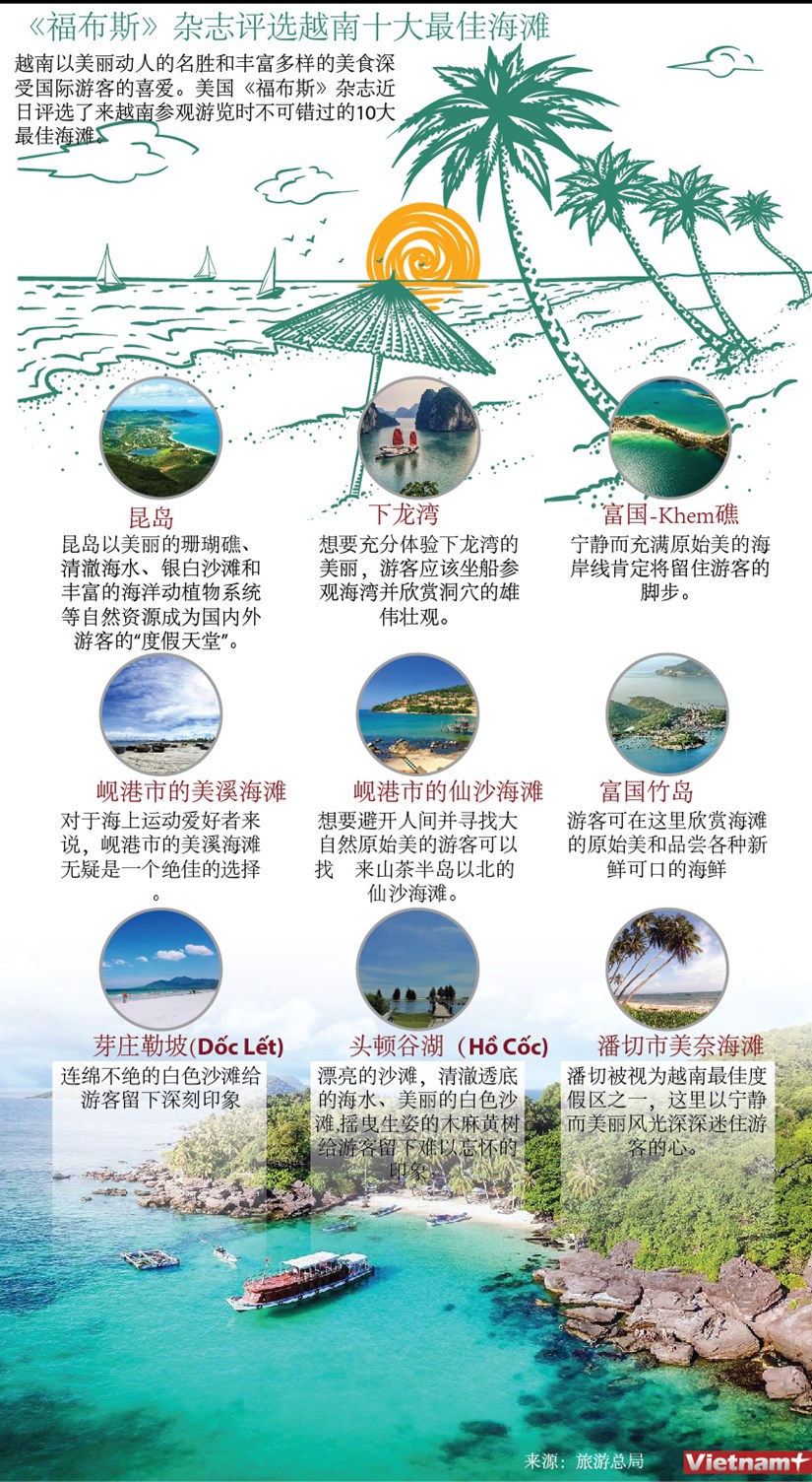 图表新闻：《福布斯》评选出越南十大最佳海滩 hinh anh 1