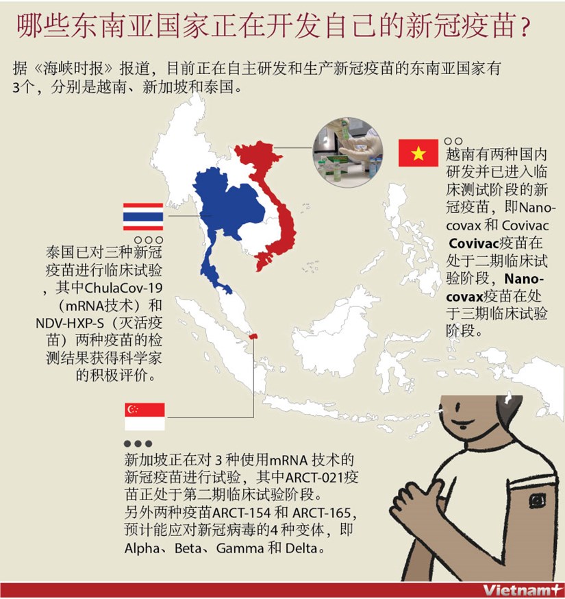 图表新闻：哪些东南亚国家正在开发自己的新冠疫苗？ hinh anh 1