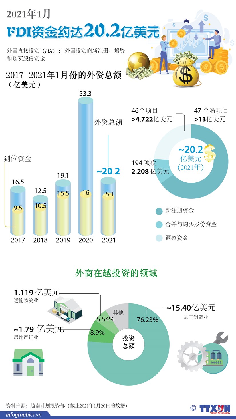 图表新闻：2021年1月FDI资金约达20.2亿美元 hinh anh 1
