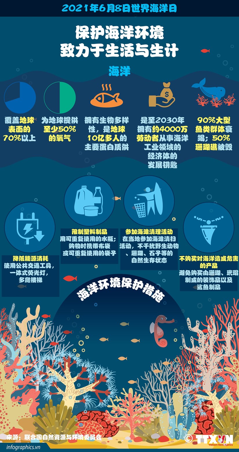 图表新闻：保护海洋环境 致力于生活与生计 hinh anh 1