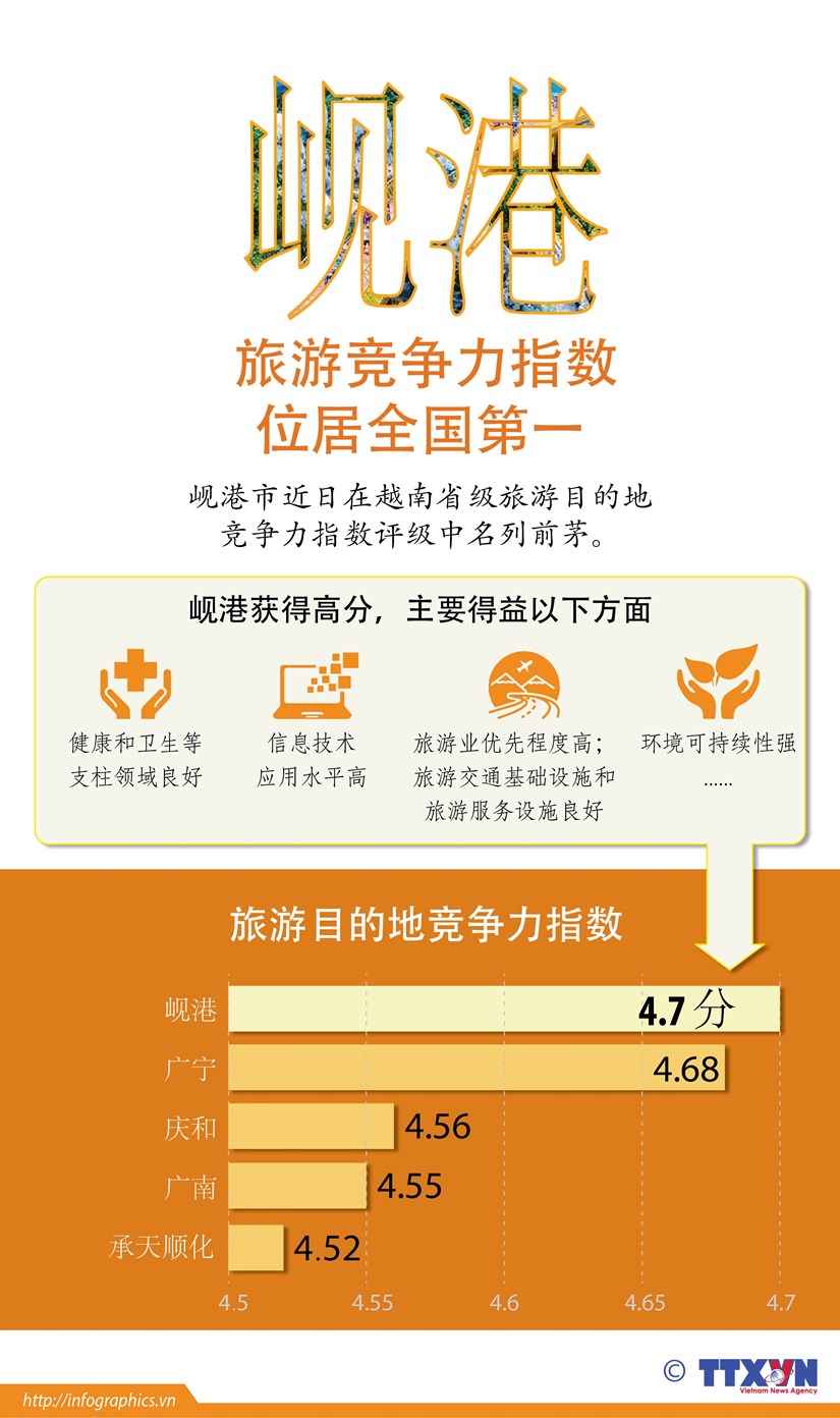 图表新闻：岘港旅游竞争力指数位居全国第一 hinh anh 1